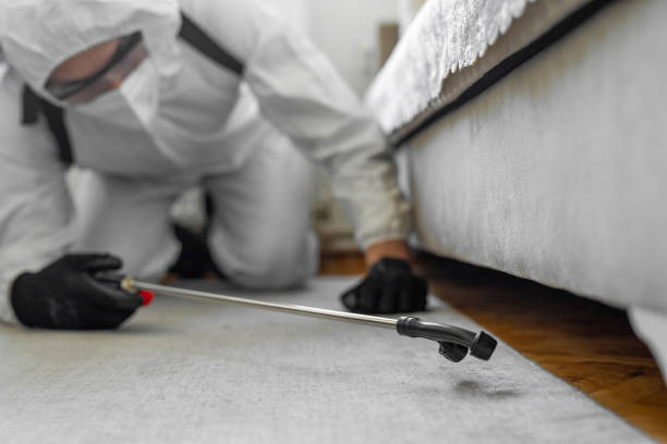 Professional Bed Bug Control technician working in West Lawn, PA